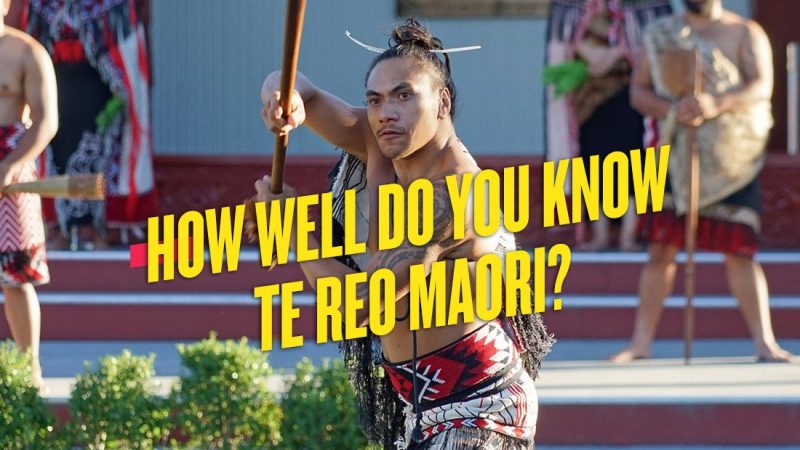 Quiz: How well do you know Te Reo Māori?