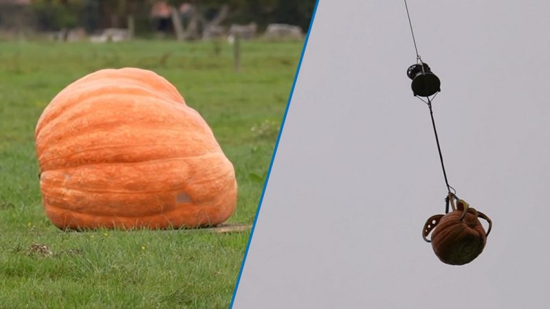 Watch the massive mess a 465kg pumpkin dropping from a helicopter looks like