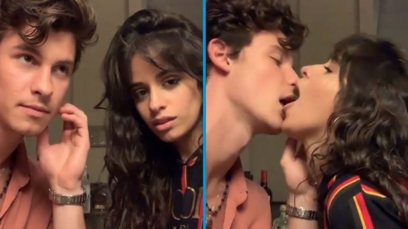 Shawn Mendes & Camila Cabello's bizarre kissing video shocks the internet