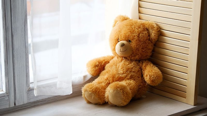 Kiwis are placing teddy bears in their windows as part of a country-wide bear hunt