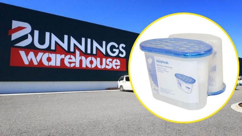 People are calling this $4 'Moisture Absorber' from Bunnings 'Magical'