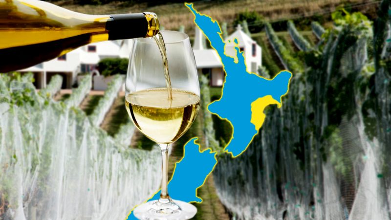 Hawke's Bay declared one of the world's great wine capitals, alongside Bordeaux and Napa Valley