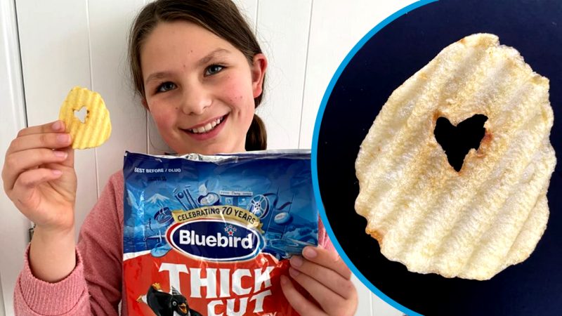 A 10yo Kiwi girl’s auction for a potato chip with a heart-shaped hole has reached over $10k