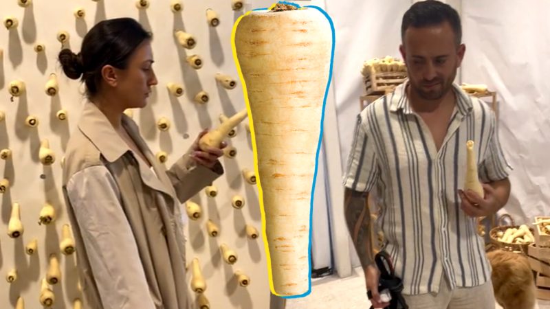 Aucklanders are extremely confused by this pop-up parsnip shop that can win you free flights