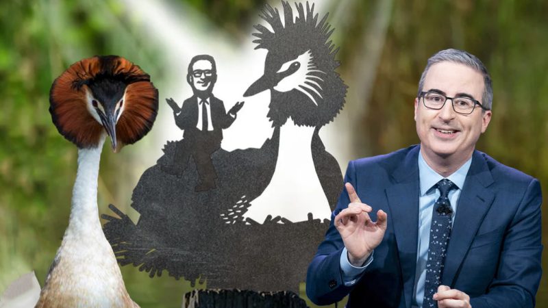 Kiwi business Metal Bird gets massive boost from John Oliver collaboration