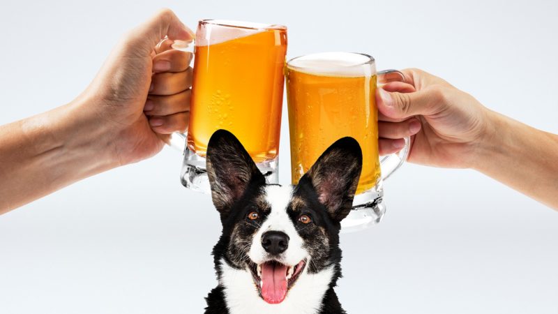 How 'Two Beers and a Puppy' test can help you decide who are the good friends in your life
