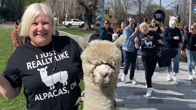 Jay-Jay & Flynny's Alpaca Appreciation Day Christchurch