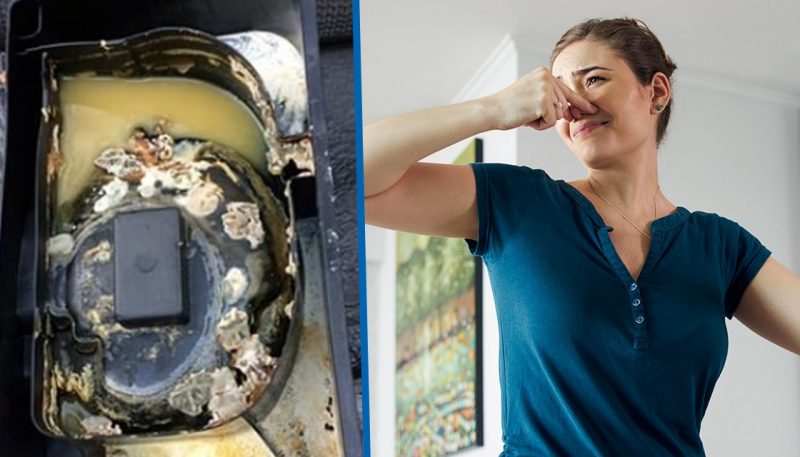 Woman discovers mouldy fridge drip tray and alerts Facebook to their existence