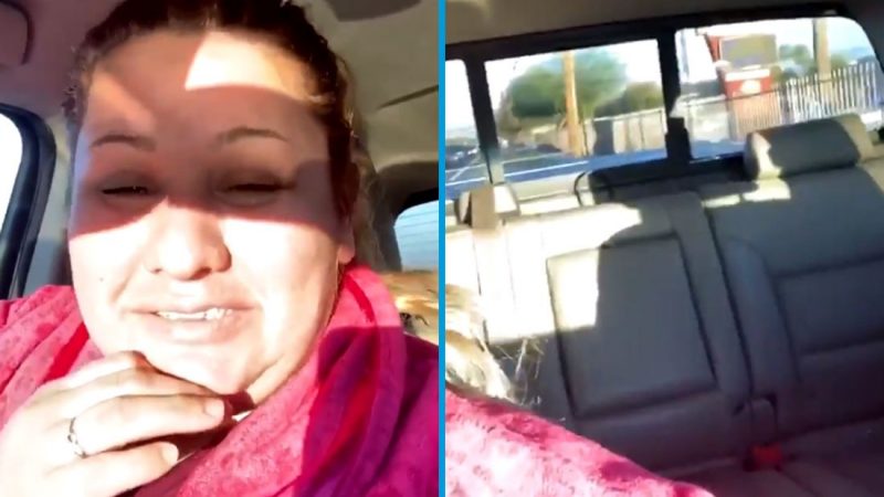 Mum hilariously forgets to put the kids in the car for school-drop off
