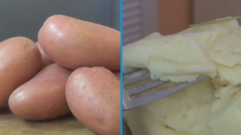 Chef reveals the super easy trick for perfectly smooth and creamy mashed potato