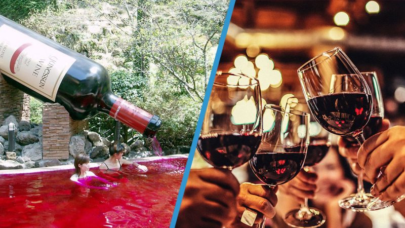 Dreams do come true - you can now swim in a pool filled with red wine