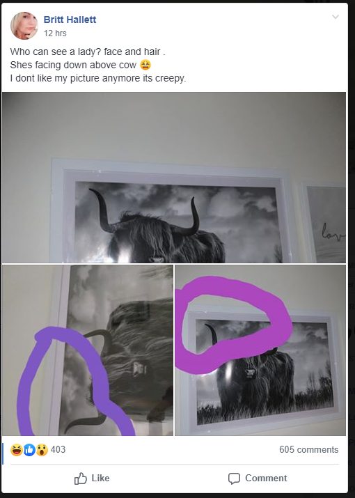 Woman shocked after 'creepy' find in Kmart art print