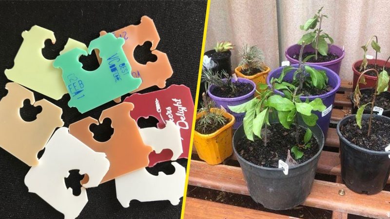 Woman's 'bread clip gardening hack' is perfect for plant lovers