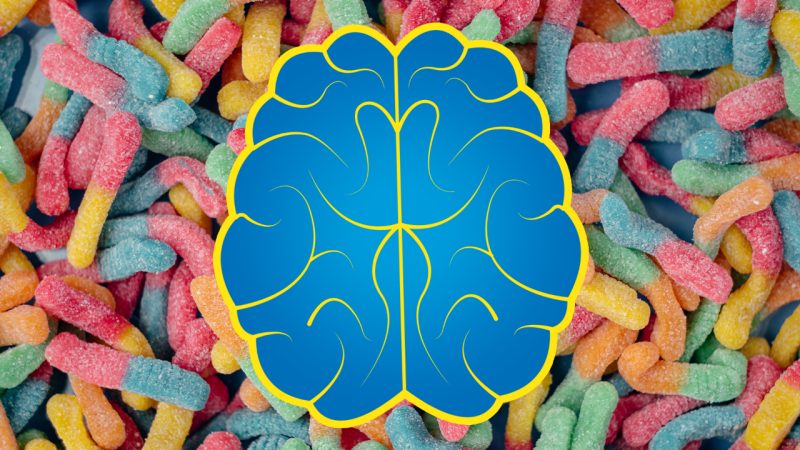 Is Your Sweet Tooth Rewiring your brain? New Study Finds Link Between Junk Food and Cravings