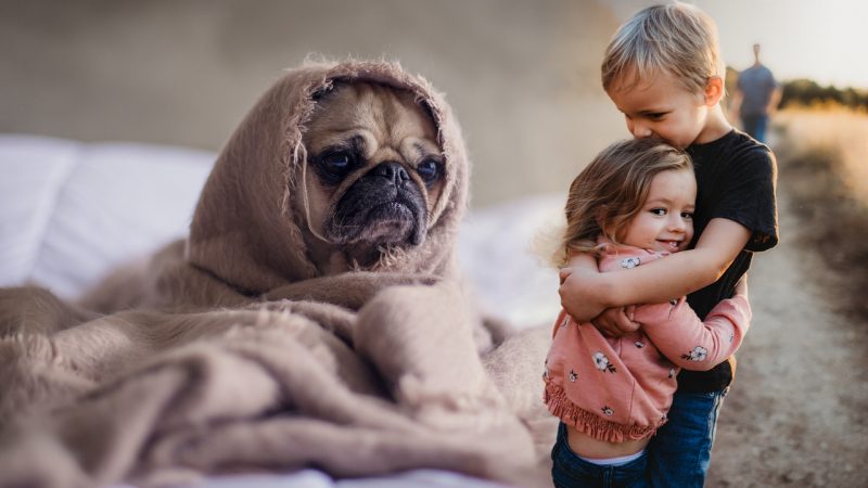 Experts are saying we shouldn't hug our dogs and I'm already crying